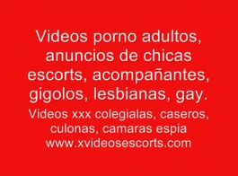 سكس هامستر|Free Porn Videos & Sex Tube Movies at xHamster.